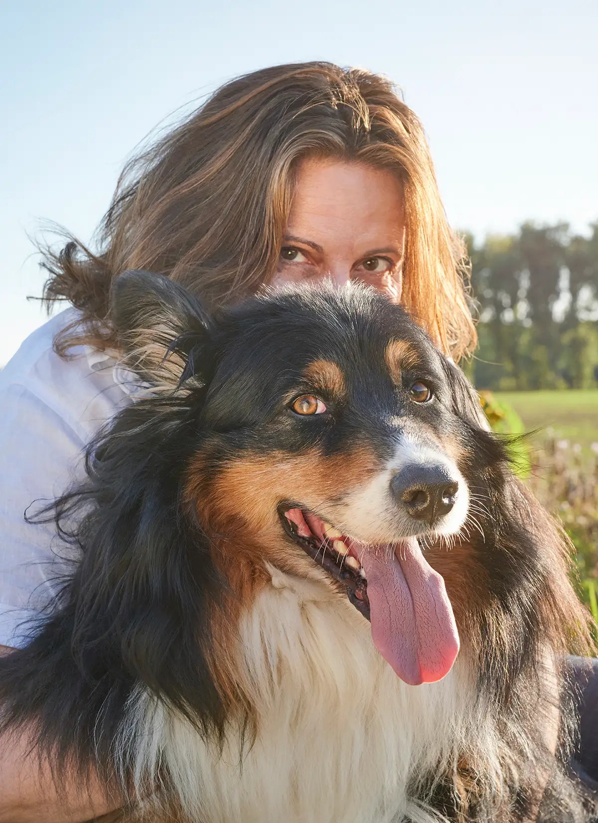 Frau umarmt ihren dreifarbigen Hund auf einer Wiese