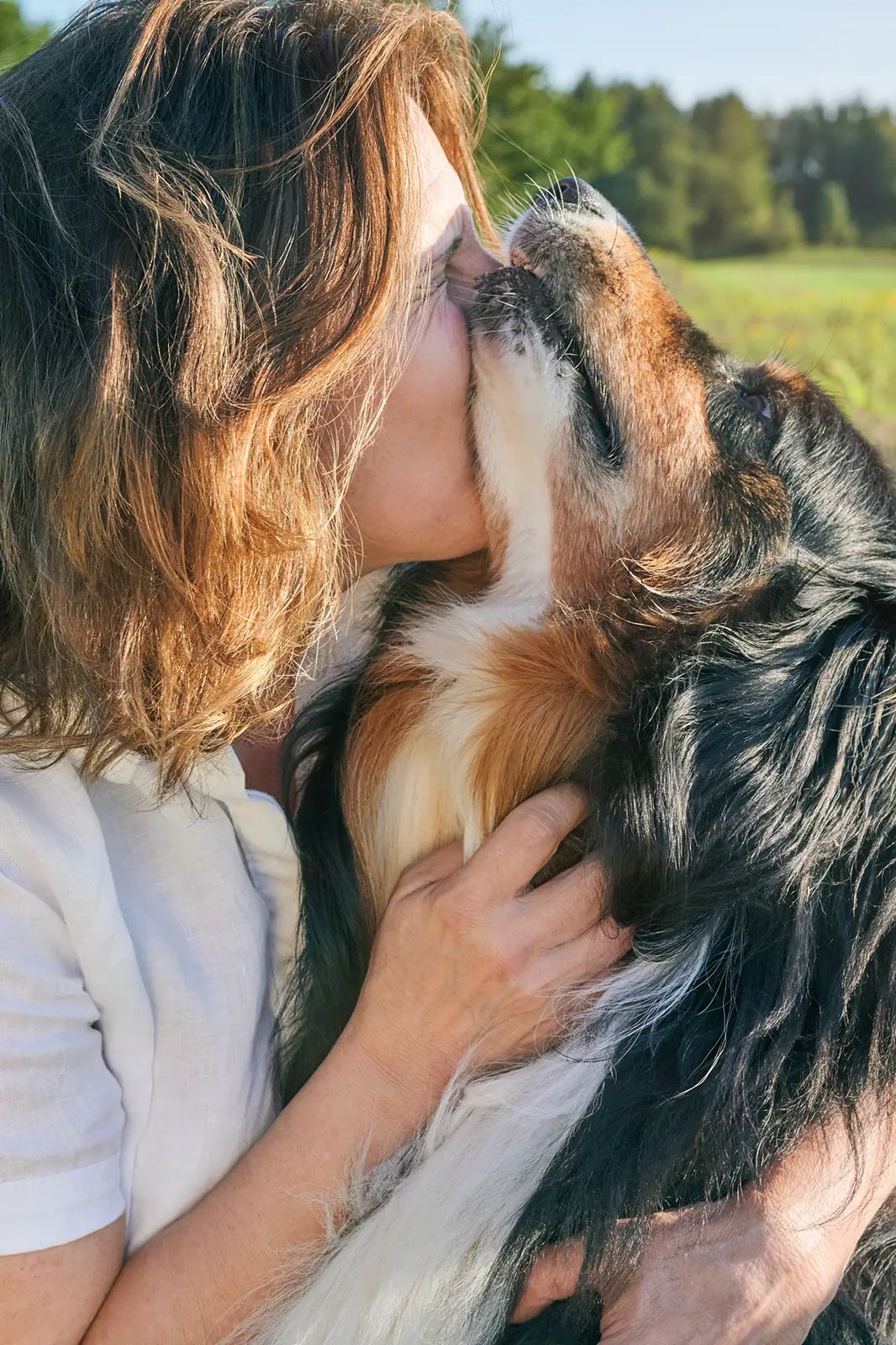 Frau und ihr Hund Nase an Nase auf der Wiese