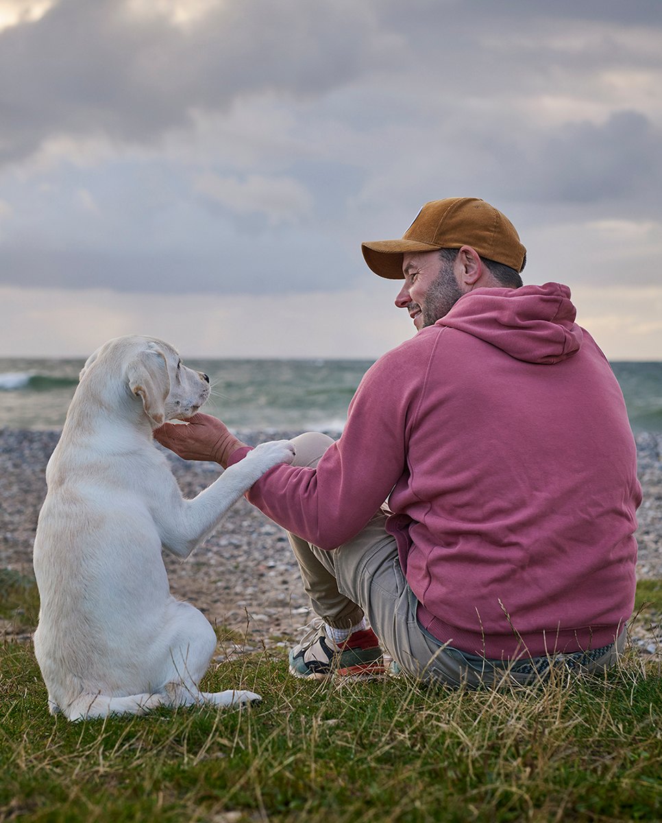 Mann gibt seinem Labrador die Pfote am Ostseestrand